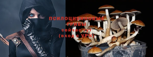 сатива Приозерск
