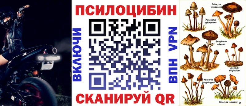 Псилоцибиновые грибы ЛСД  гидра   Николаевск  купить наркотики цена 