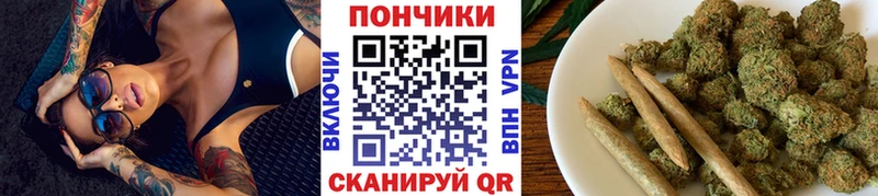 дарнет шоп  Николаевск  Бошки марихуана гибрид 